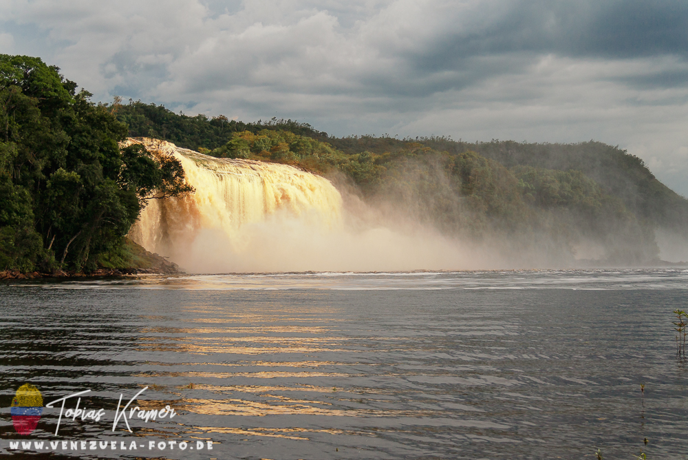 Read more about the article Canaima 2018